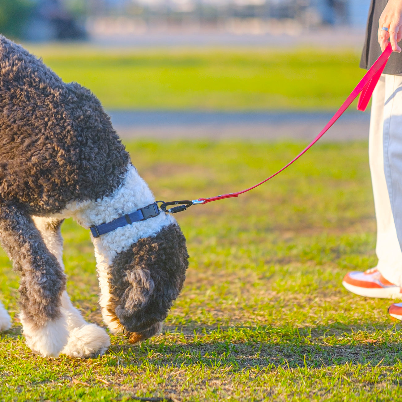 オーダーショルダーリーシュ（SHOULDER LEASHES）