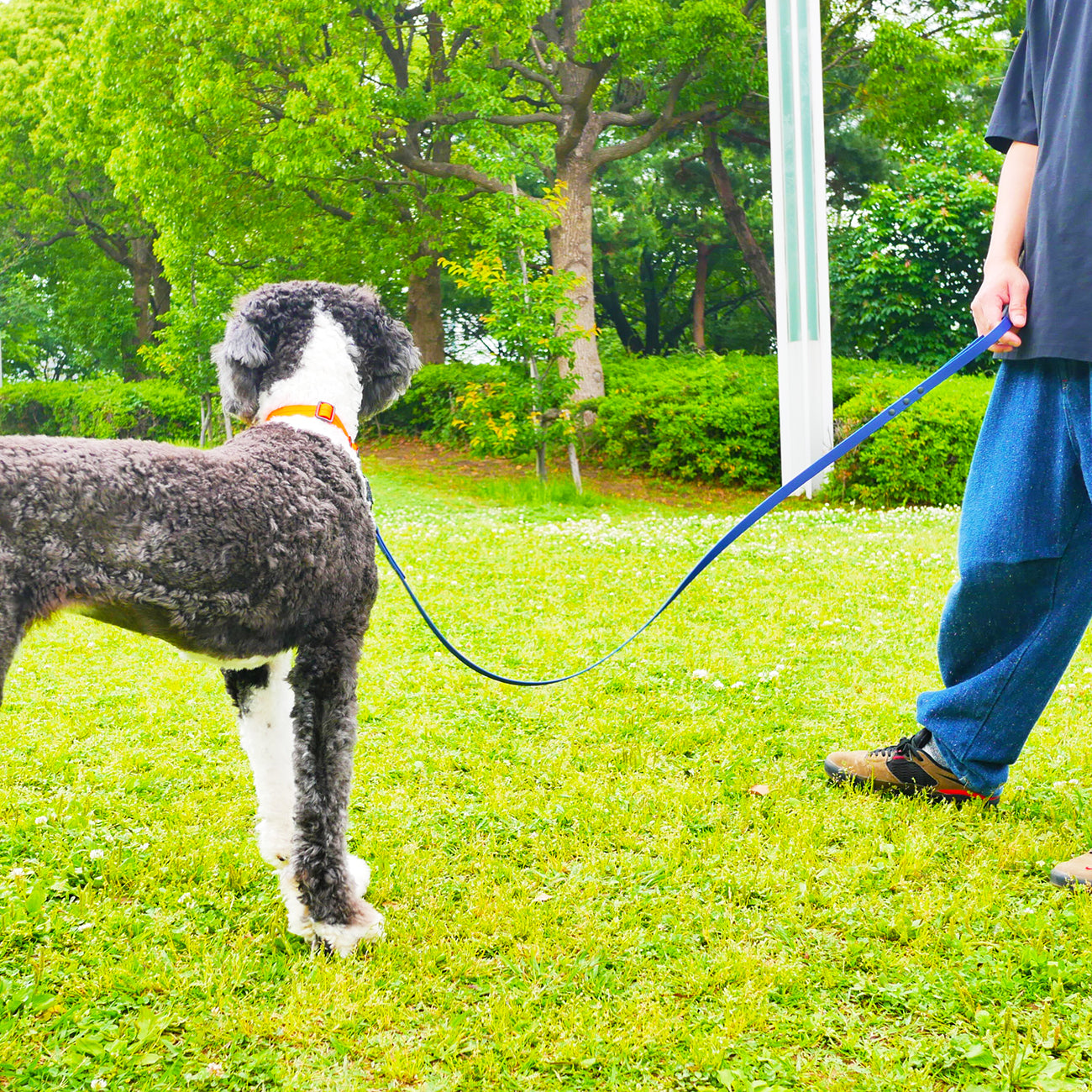 オーダーショルダーリーシュ（SHOULDER LEASHES）