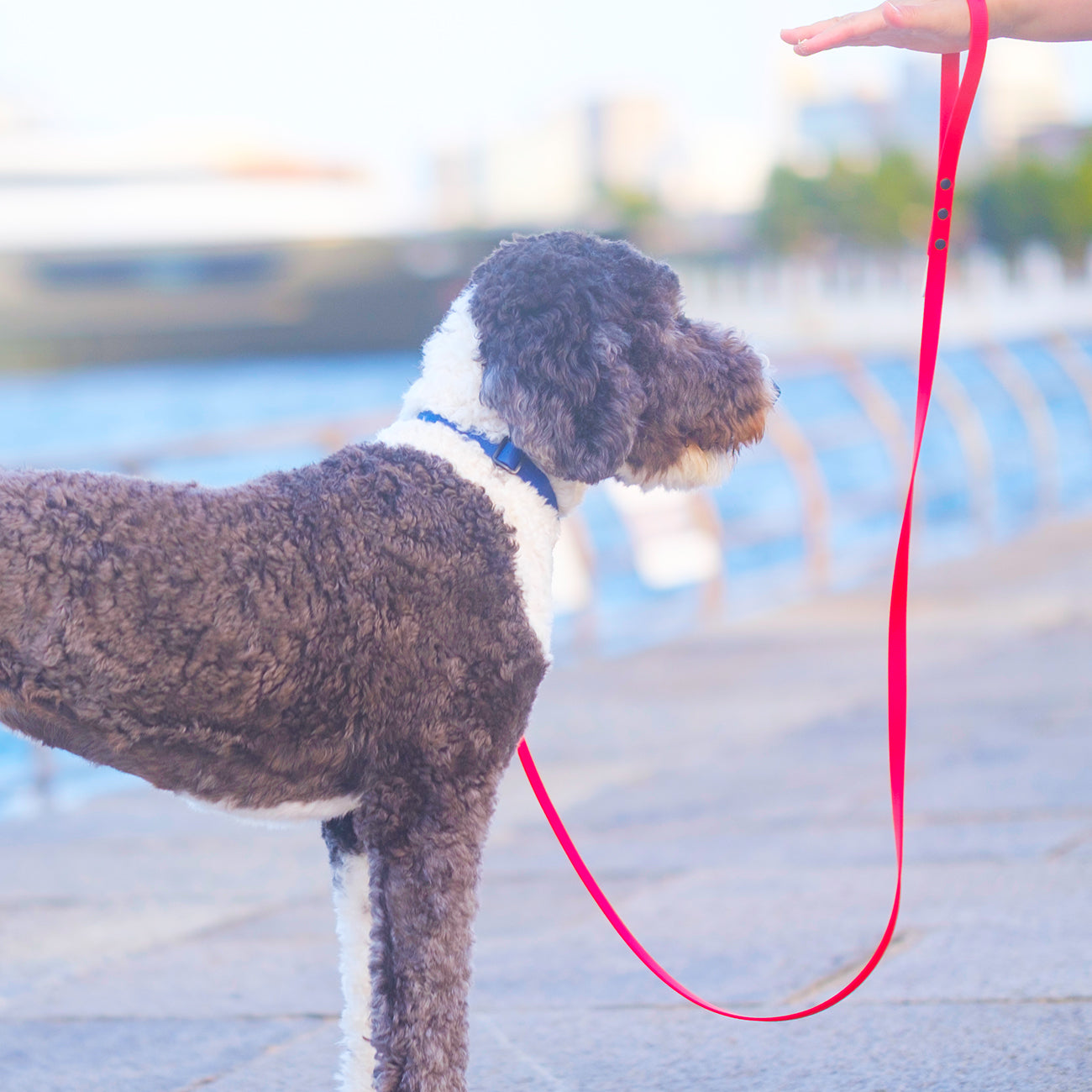 オーダーショルダーリーシュ（SHOULDER LEASHES）