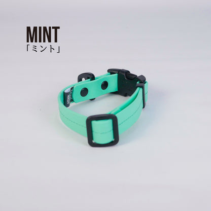 首輪（寒色系）