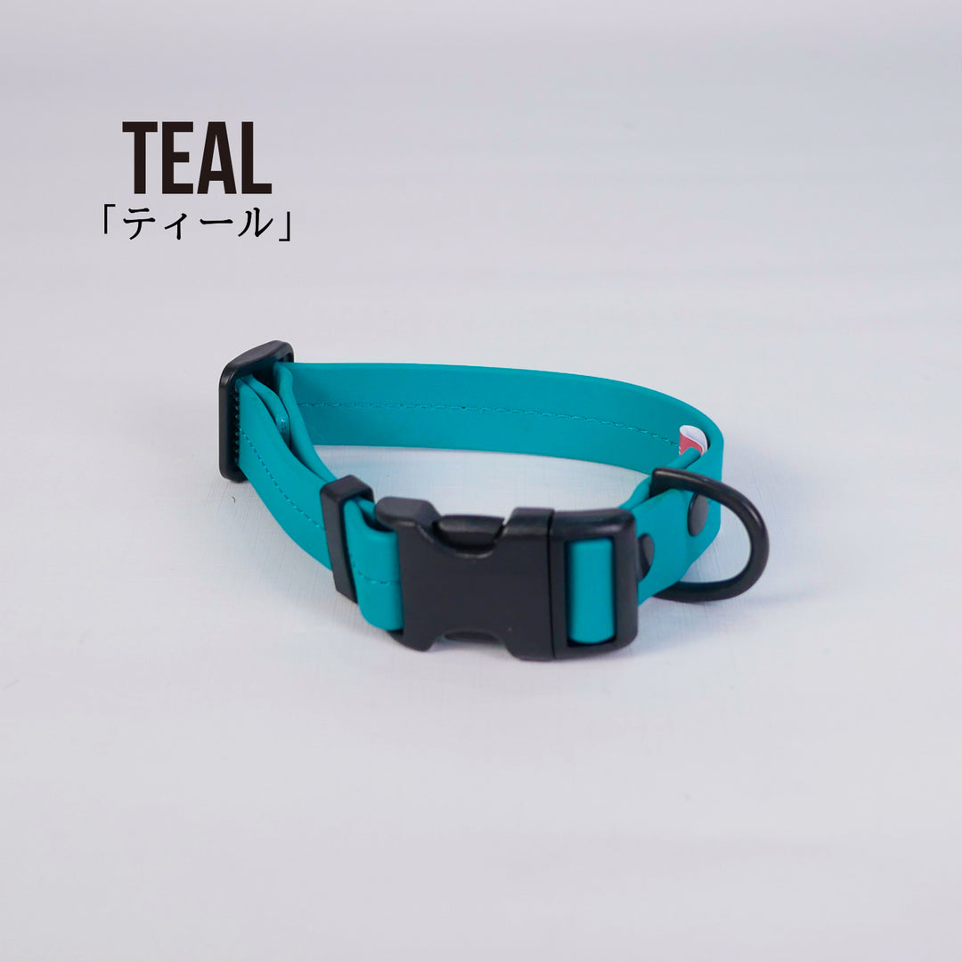 Collar color meaning dog collar 意味 犬の 首輪 と リード 英語での違いと使い分けをわかりやすく紹介 - 英語ブログ - こども専門オンライン英会話 QQキッズ