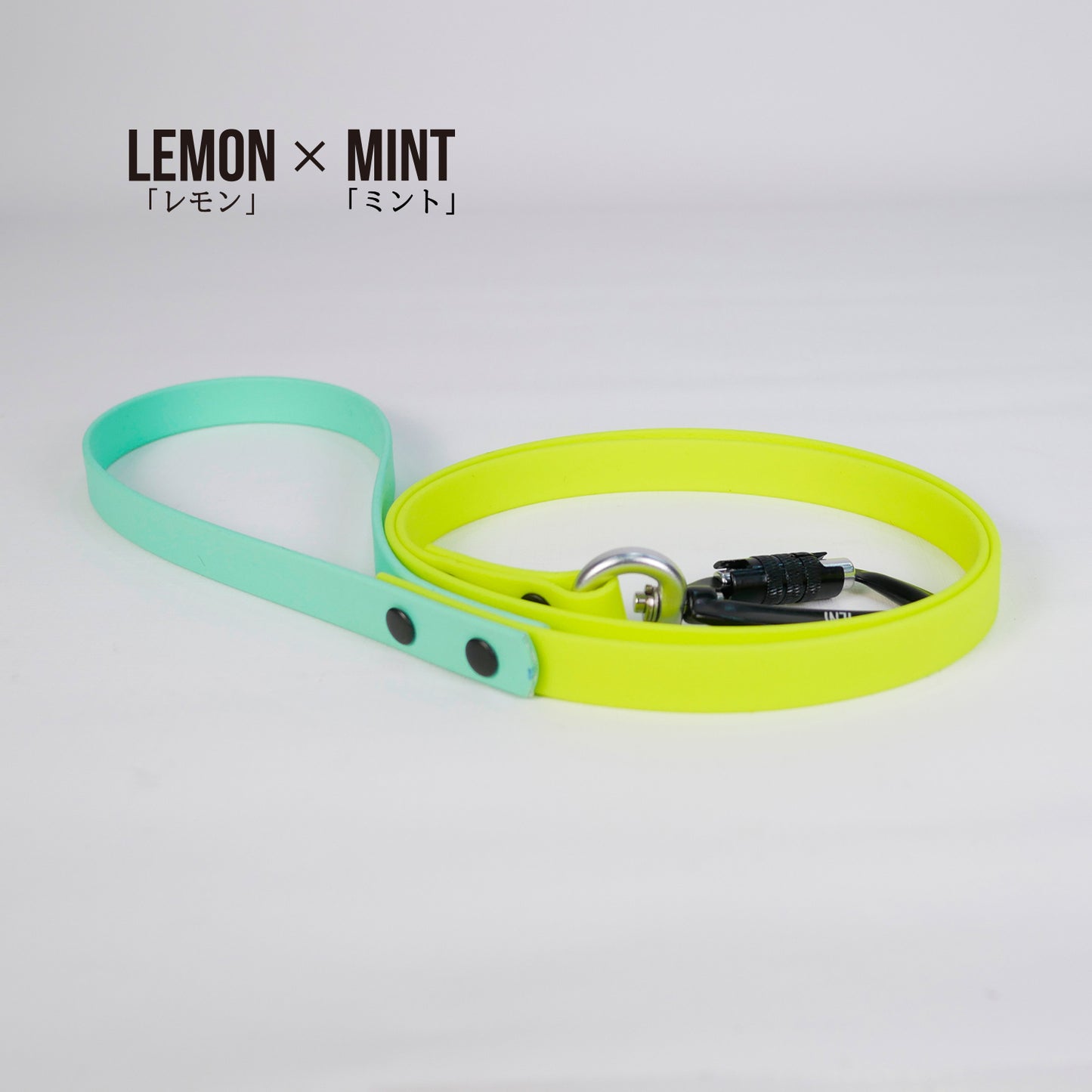 リーシュ（暖色系）